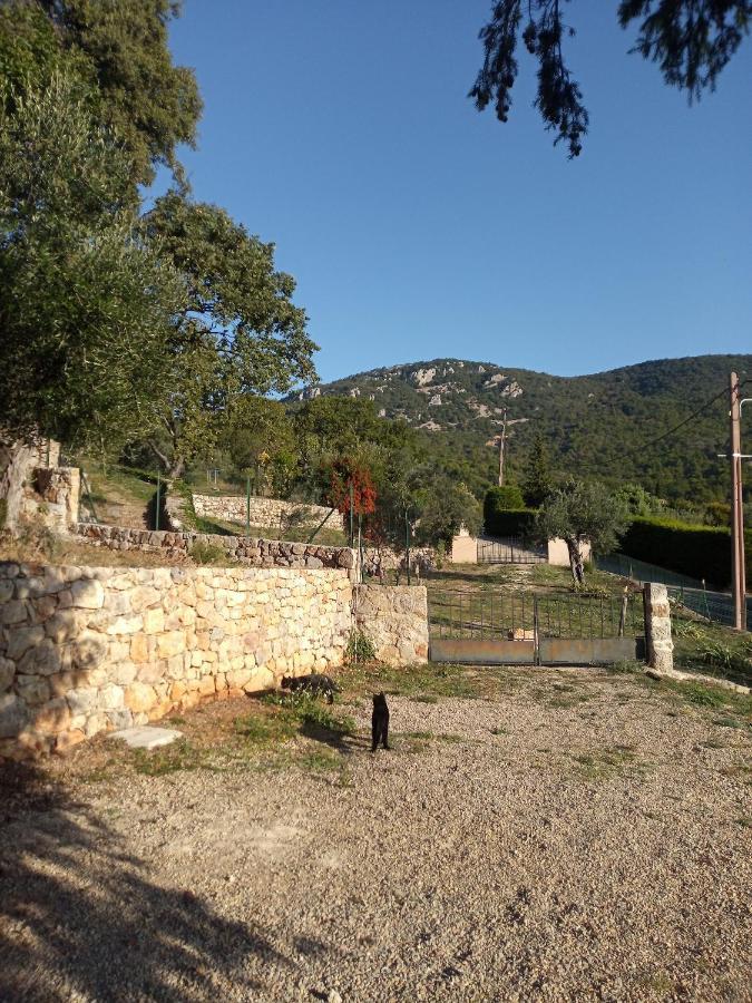 La Bergerie Villa Bargemon Exterior photo